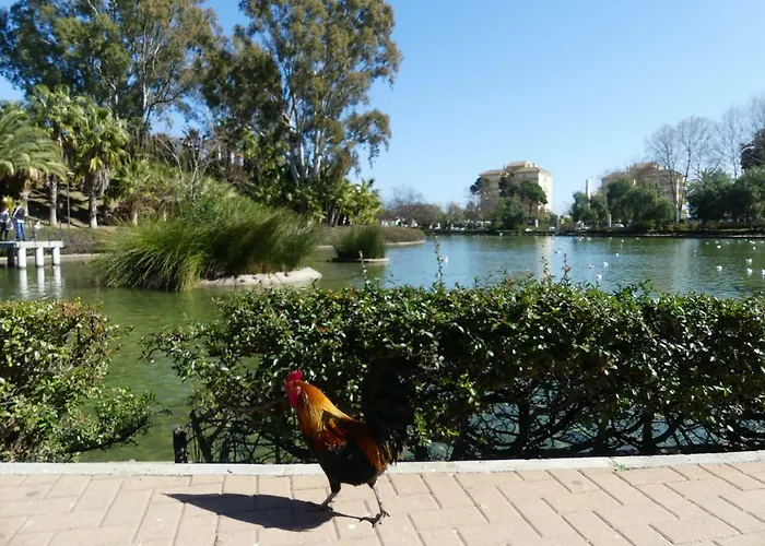 Vacacional A 1 Minuto De La Playa - Carihuela Torremolinos