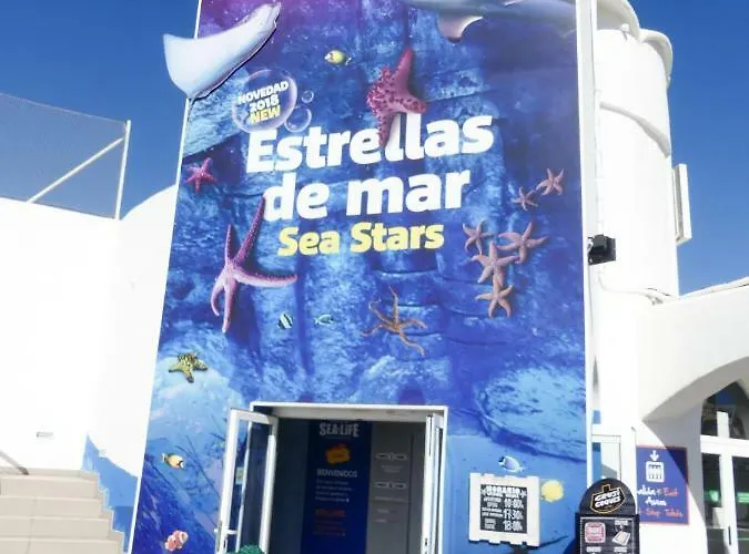 Vacacional A 1 Minuto De La Playa - Carihuela *