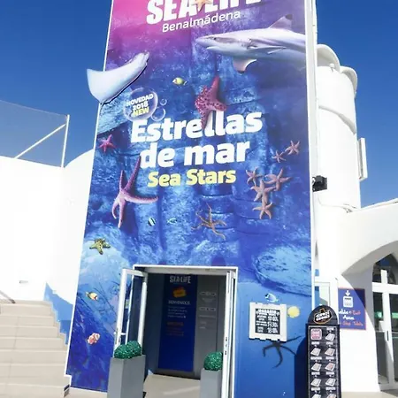 Vacacional A 1 Minuto De La Playa - Carihuela *