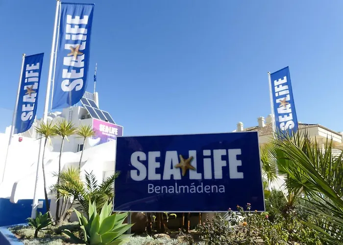 Vacacional A 1 Minuto De La Playa - Carihuela