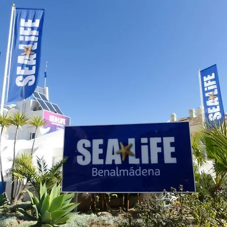 Vacacional A 1 Minuto De La Playa - Carihuela